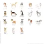 Etiqueta Adesiva Retangular Dogs Springtime - opções de dogs 2