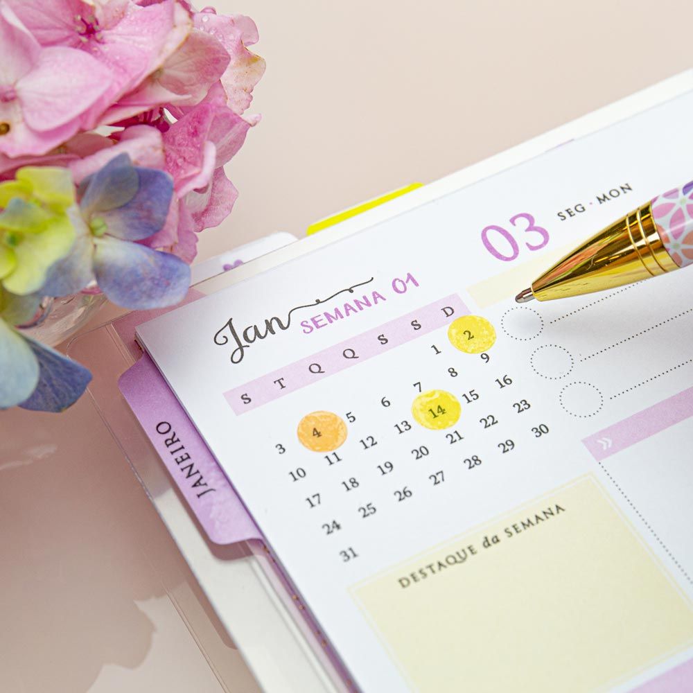 Daily Planner Paperdiva Déborah Celebrate - mini calendário