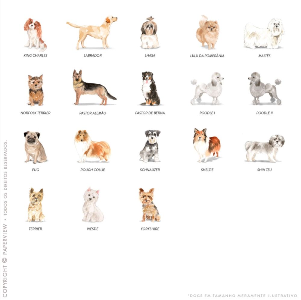 Daily Planner Dogs Monogram - opções dogs