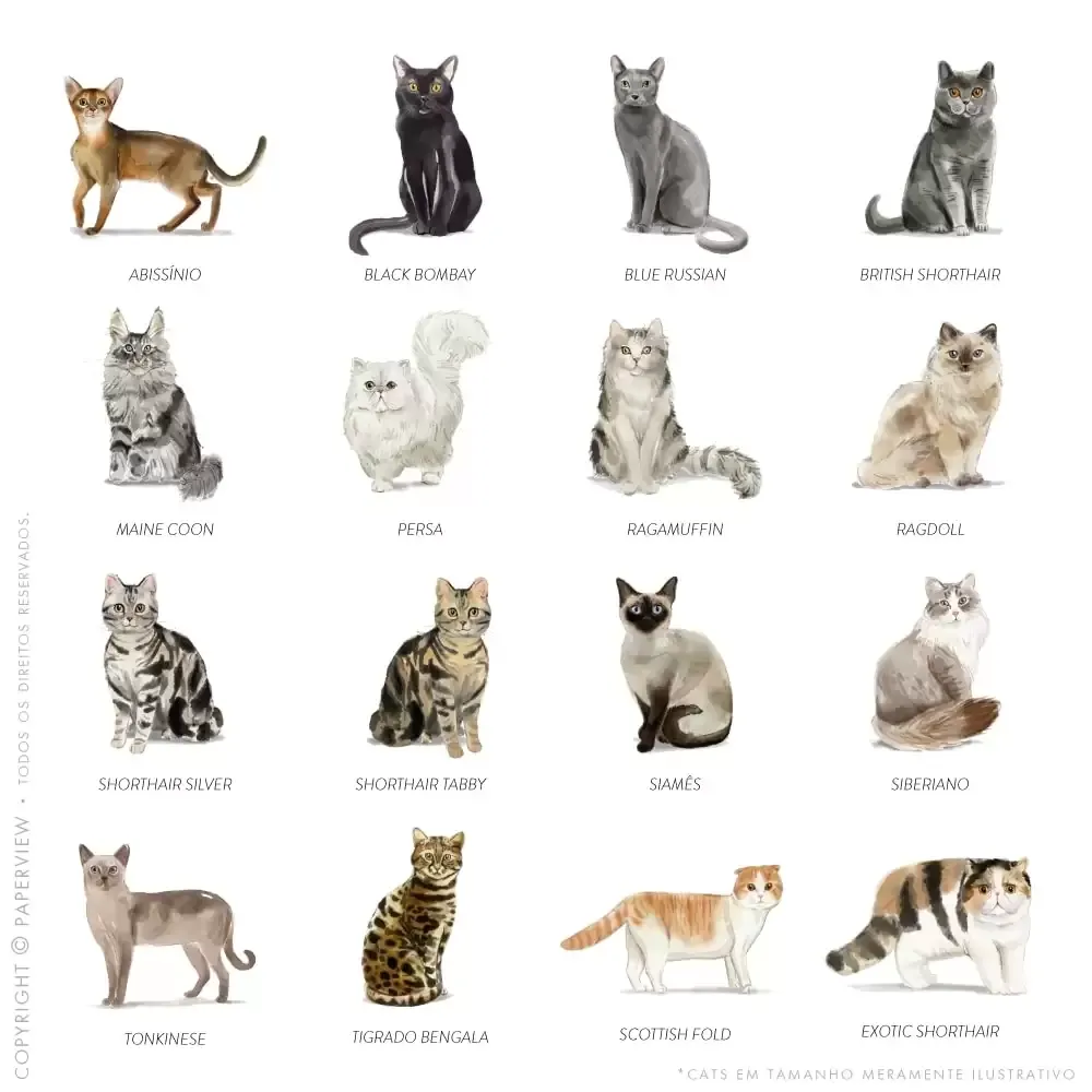 Tag de Identificação Catlover - cats
