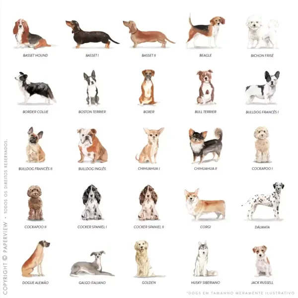 Capa Avulsa Removível Dogs Monogram - dogs 1 